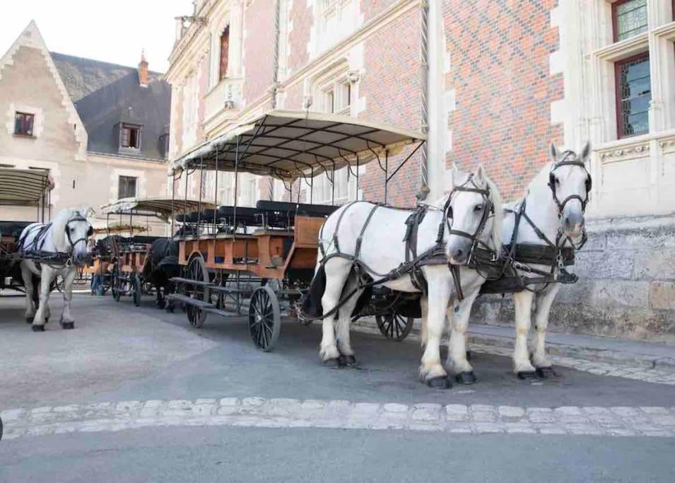 Petite Maison Avec Clim Blois Exterior foto
